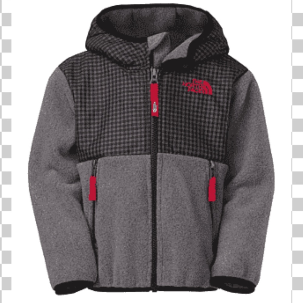 The North Face 'Denali' Hoodie